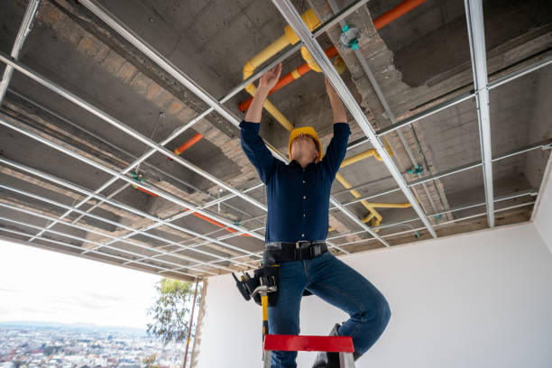 Best Commercial Plumbing Services  in Hartington, NE