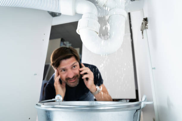 Best Plumbing Inspection Services  in Hartington, NE