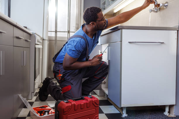Best Plumbing Services Near Me  in Hartington, NE