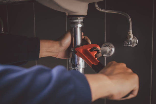 Best Emergency Plumber  in Hartington, NE